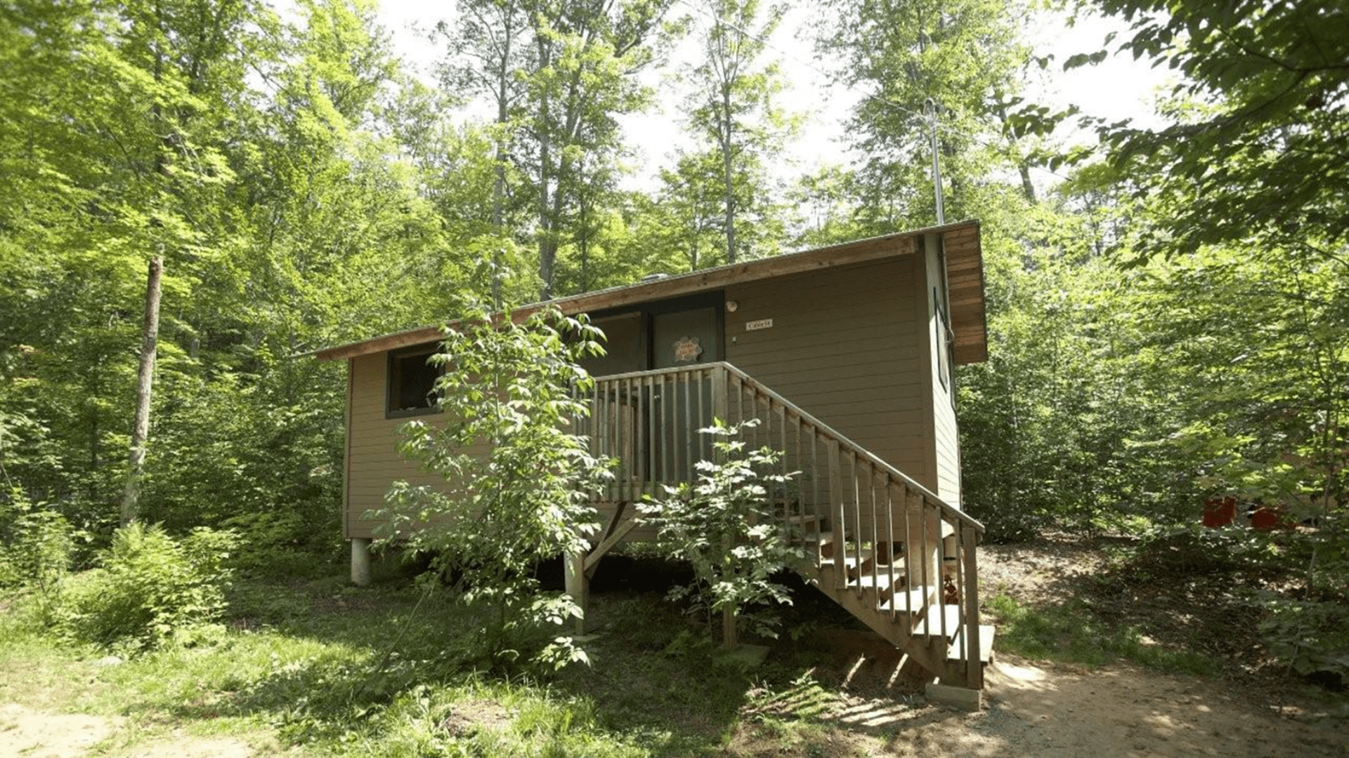 A wooden cabin with stairs surrounded by lush green trees.