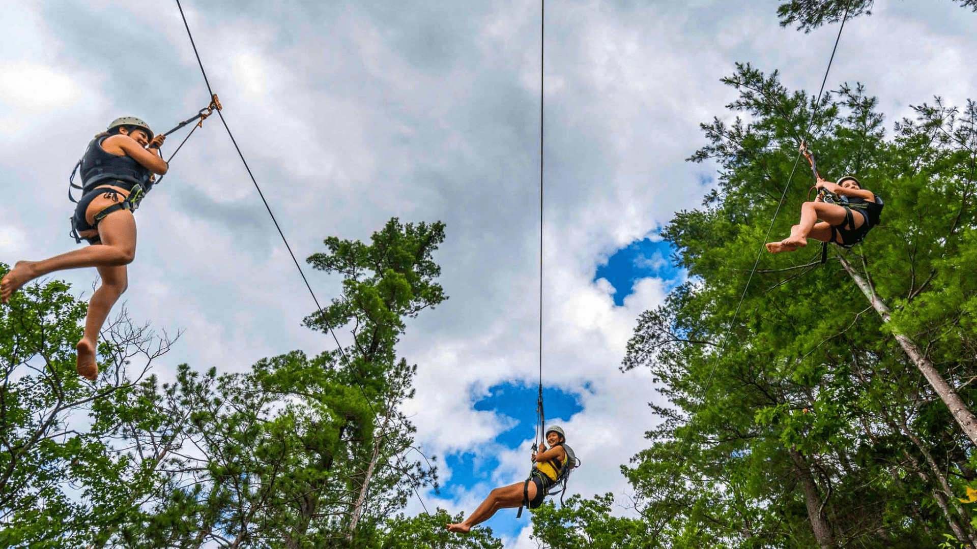 A person zip-lining through tall green trees under blue skies.