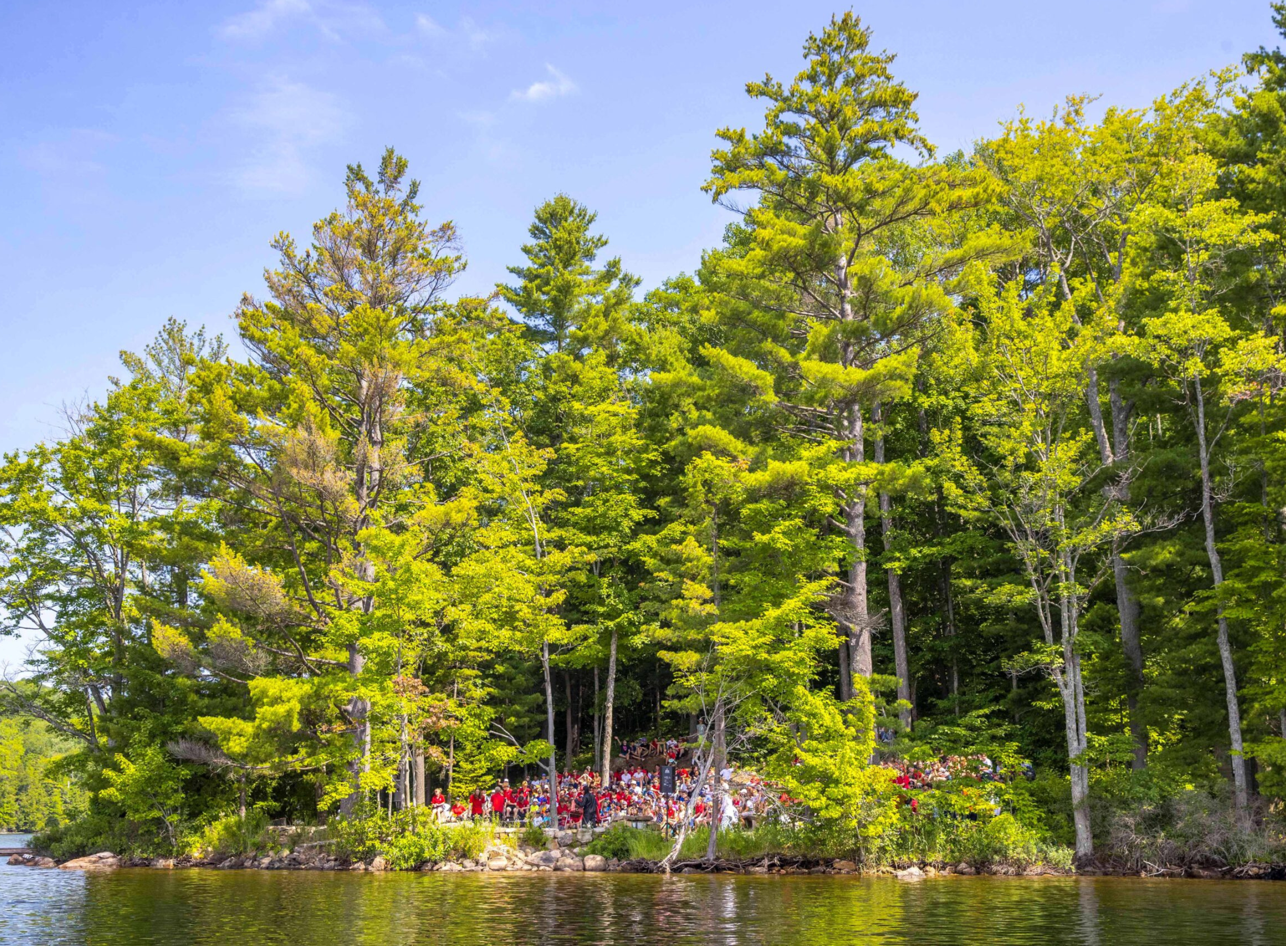 Lush green pine trees reflected in a calm blue lake.